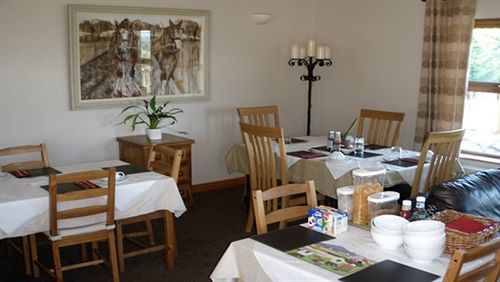 הילסבורו Dunhill Cottage B&B מראה חיצוני תמונה